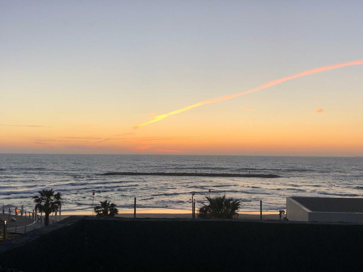 Beach Front Rooftop Apartment Tel Aviv Exteriör bild
